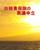 �����ӕی��ً̈c�\��